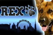 Rex