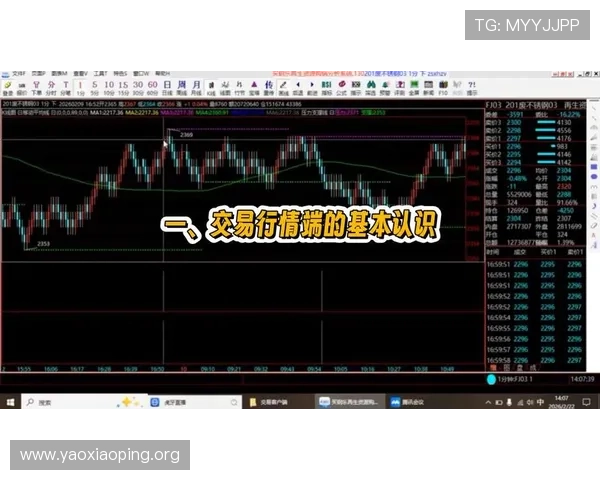 亚星一比一游戏模型价格行情及购买建议，帮助玩家理性投资与收藏