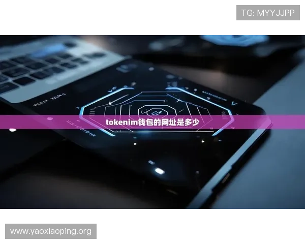 亚星官网app网址官方入口详细解析，解决用户无法登录或访问的问题